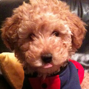 Meet your Posher, Evans